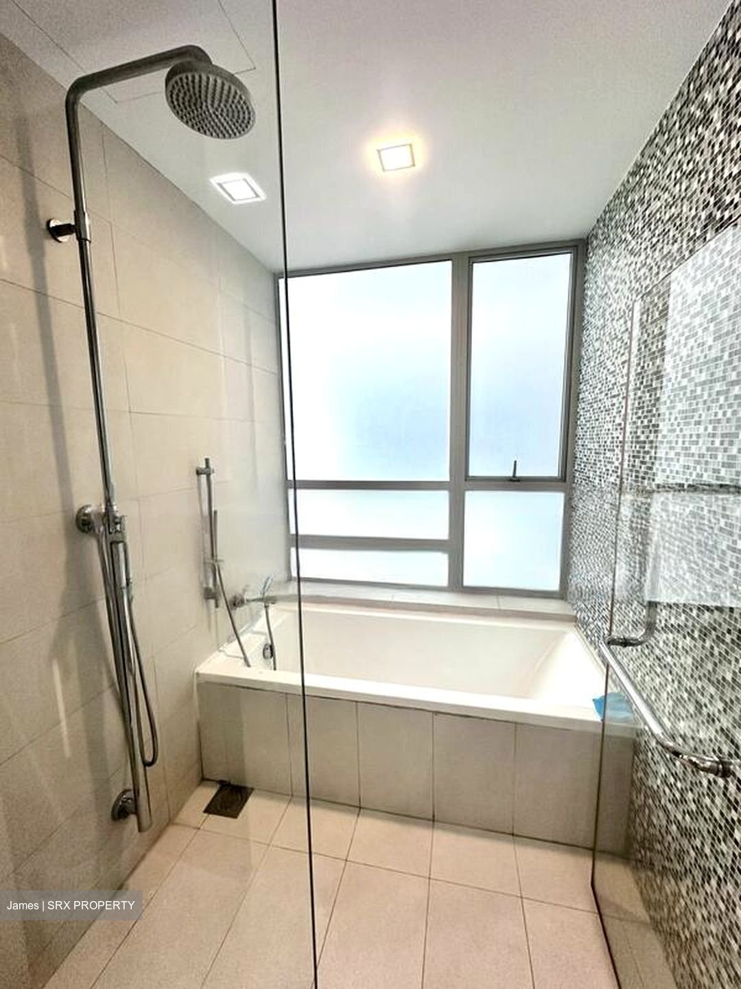 The Rochester Residences (D5), Apartment #456838171